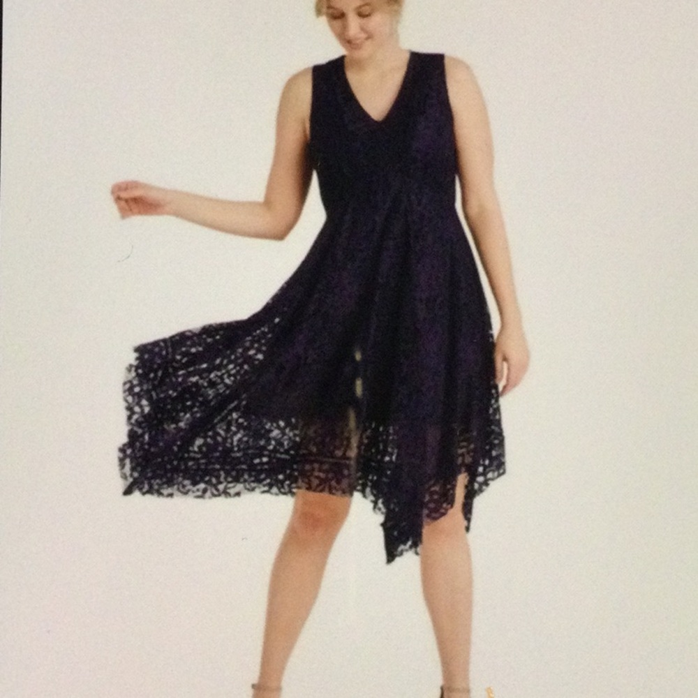 NEW Navy Taylor Lace Dress Size 4 - Picture 9 of 15